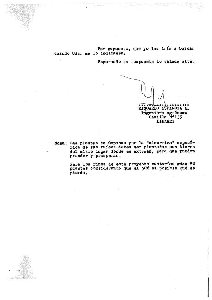 ESPINOZA ESPINOZA RINOARDO DOCUMENTO–