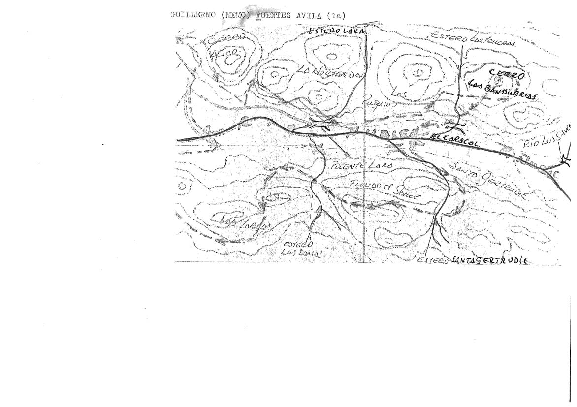 FUENTES AVILA GUILLERMO (MEMO) (1a)-