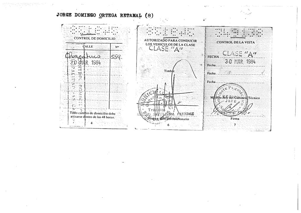 ORTEGA RETAMAL JORGE DOMINGO (8)-